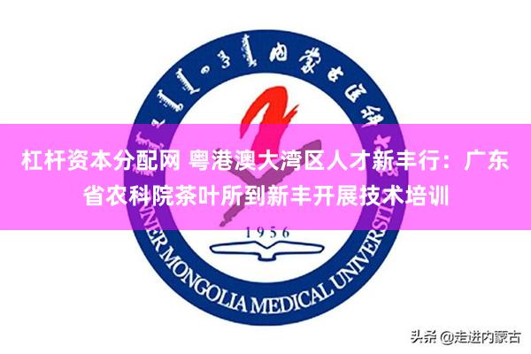 杠杆资本分配网 粤港澳大湾区人才新丰行：广东省农科院茶叶所到新丰开展技术培训