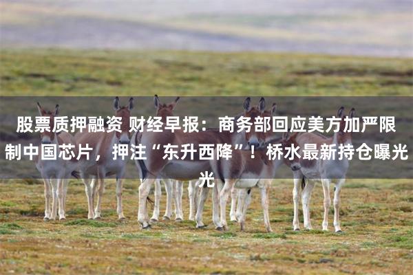 股票质押融资 财经早报：商务部回应美方加严限制中国芯片，押注“东升西降”！桥水最新持仓曝光