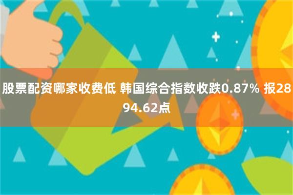 股票配资哪家收费低 韩国综合指数收跌0.87% 报2894.62点