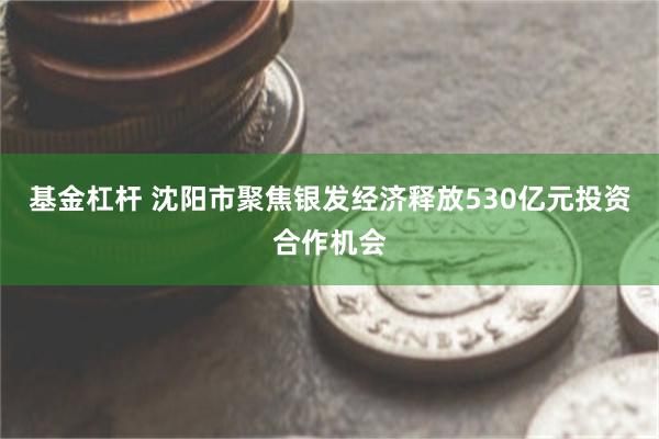 基金杠杆 沈阳市聚焦银发经济释放530亿元投资合作机会
