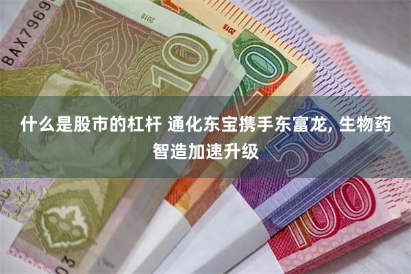 什么是股市的杠杆 通化东宝携手东富龙, 生物药智造加速升级